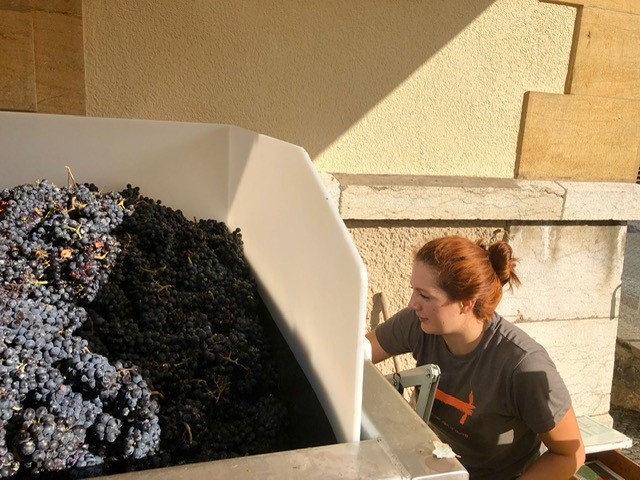 PN vendanges pesage 2022.jpg