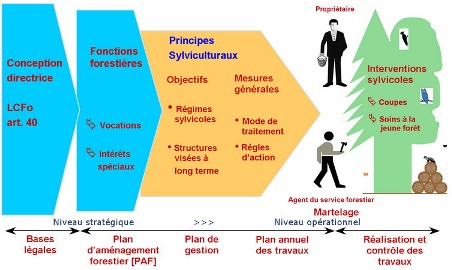 Schéma de la gestion forestière neuchâteloise, copyright PJ