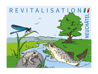 Revitalisation Des Cours Deau République Et Canton De