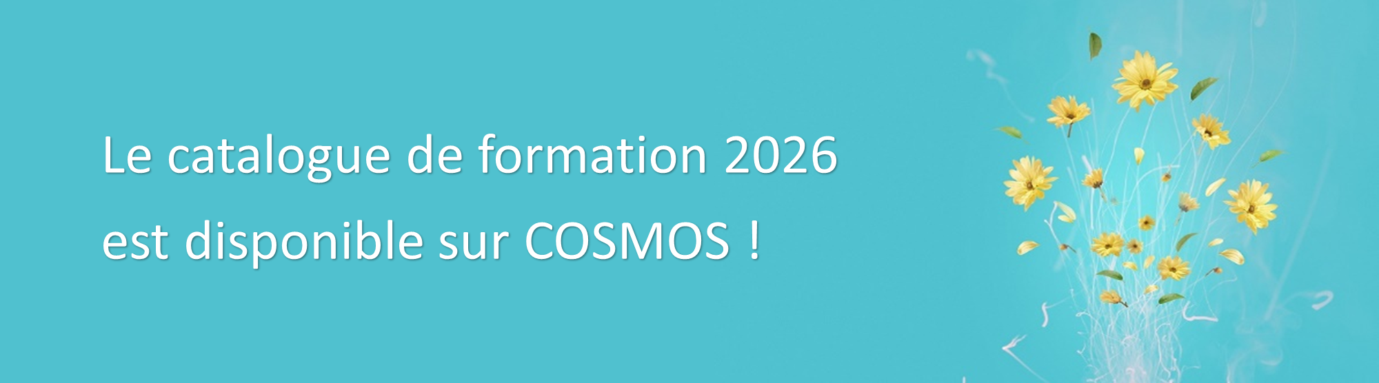 bandeau pour mail.png