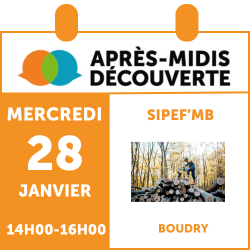 AMD_SIPEF_28.01.2026.png