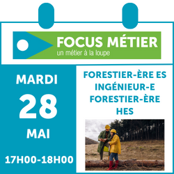Focus_calendrier_forestier2.png