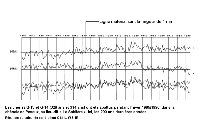 OPAN_internet_dendro_synchronisationcourbes.jpg