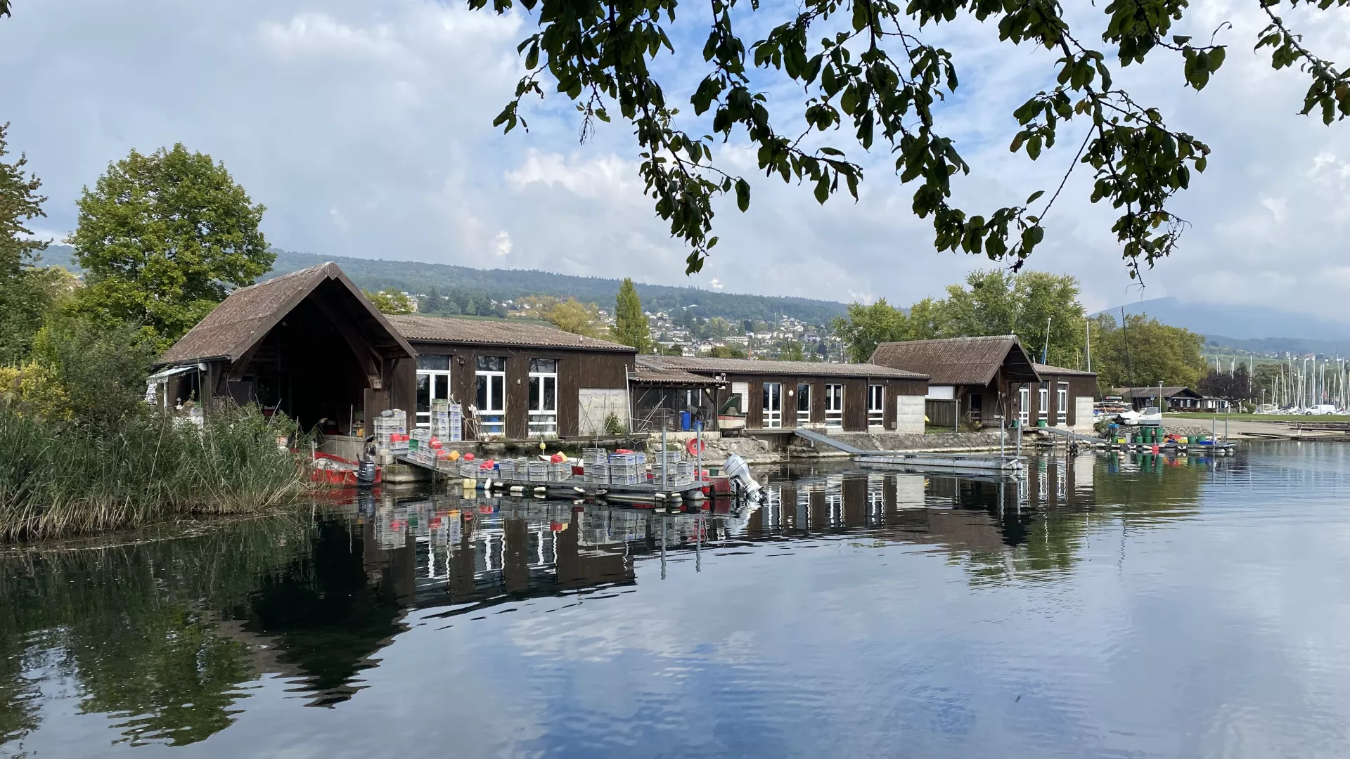 Baraque de pêcheur vue depuis le lac de Neuchâtel
