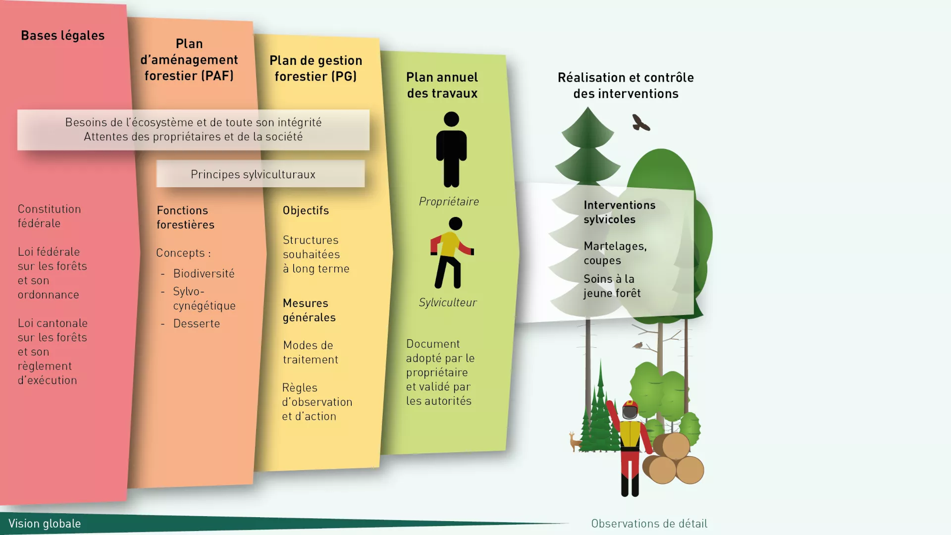 Schéma résumant les différents niveaux de la gestion forestière : bases légales, plan d'aménagement forestier, plan de gestion forestier, plan annuel des travaux.