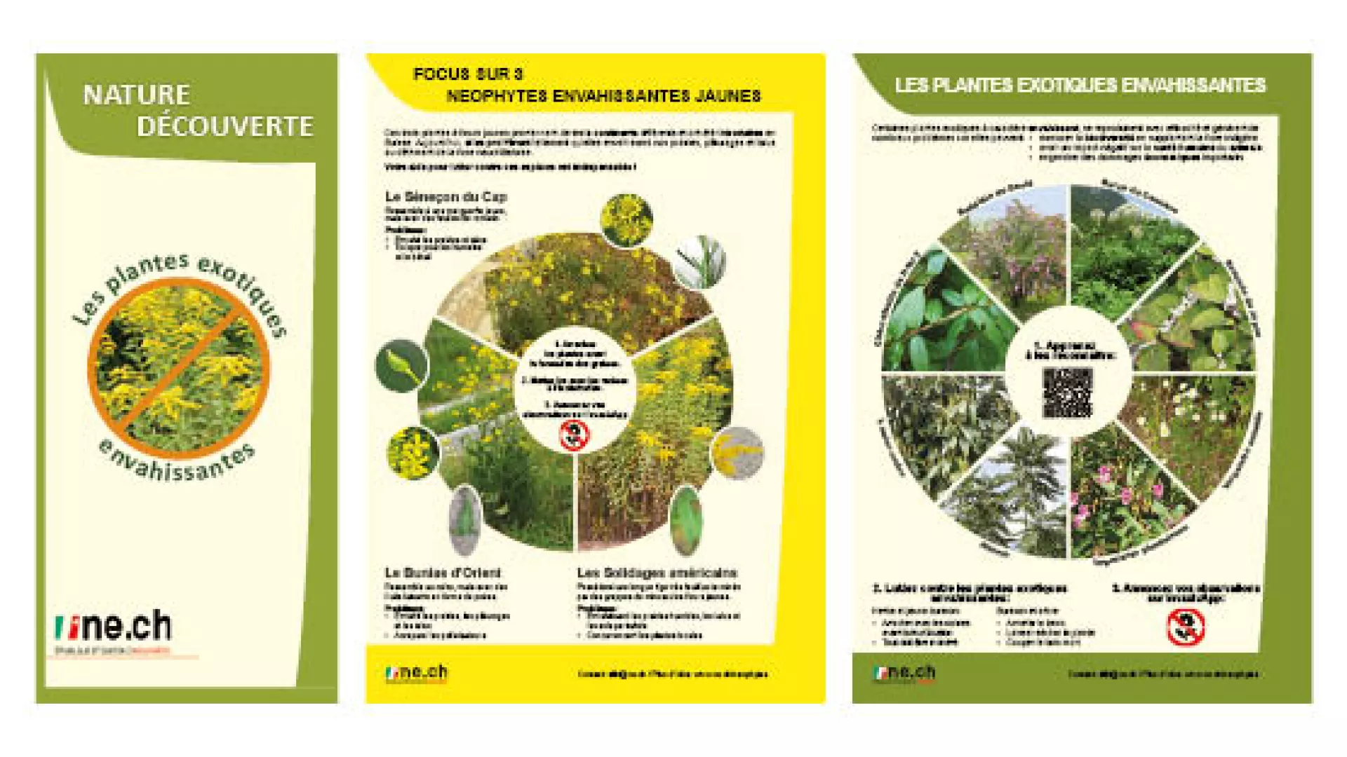 Néophytes flyer et posters