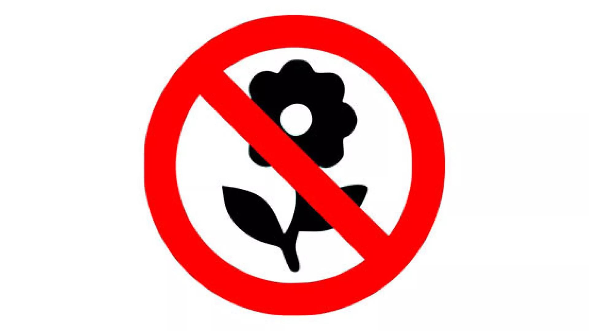 Pictogramme de l'application InvasivApp