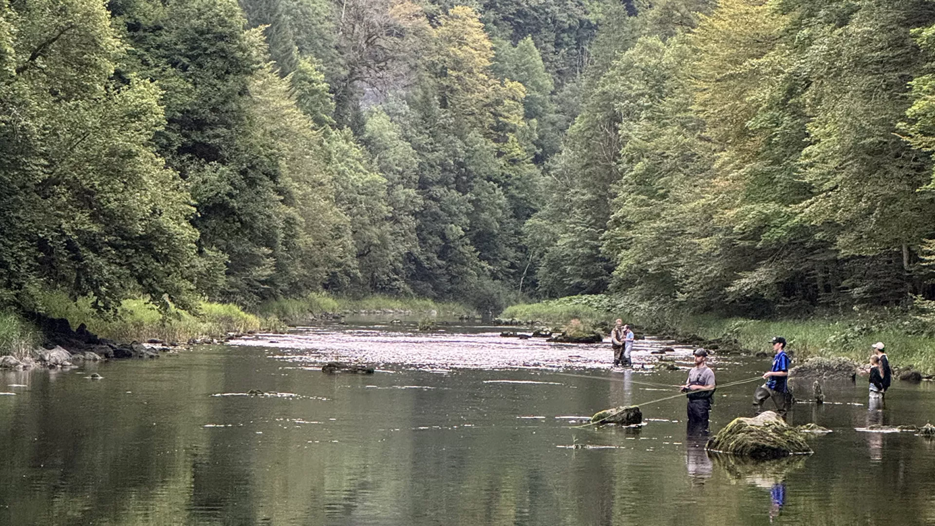 Pêche en rivière 2026 site internet
