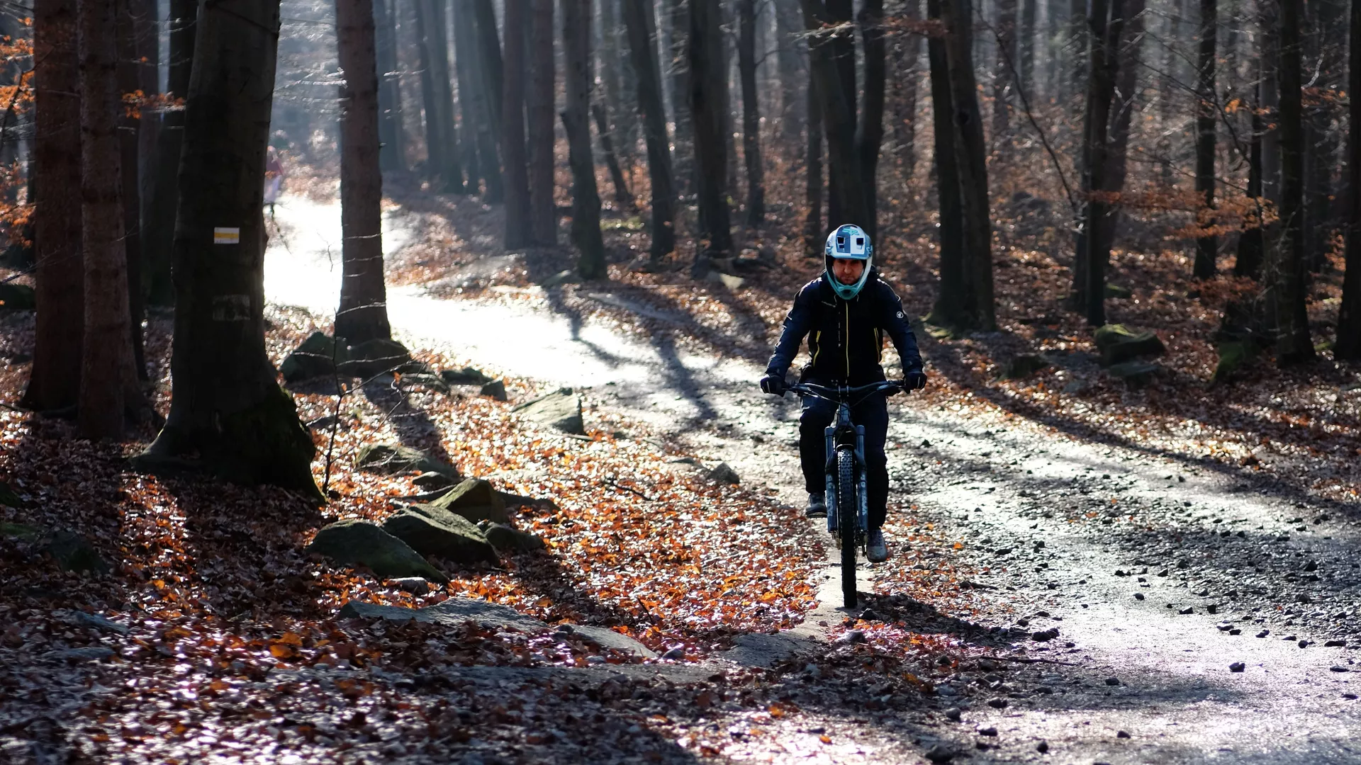 Vététiste dans une forêt automnale