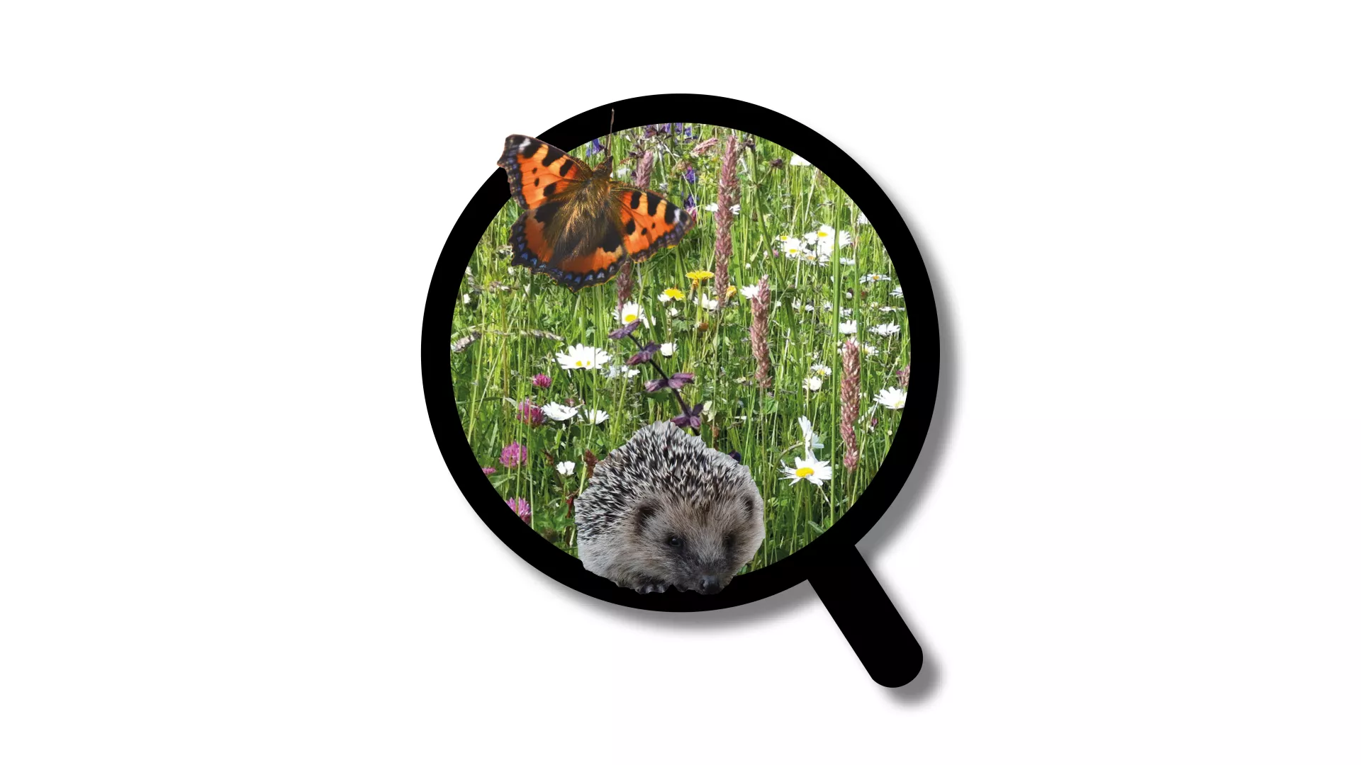 visuel du dépliant jardin naturel