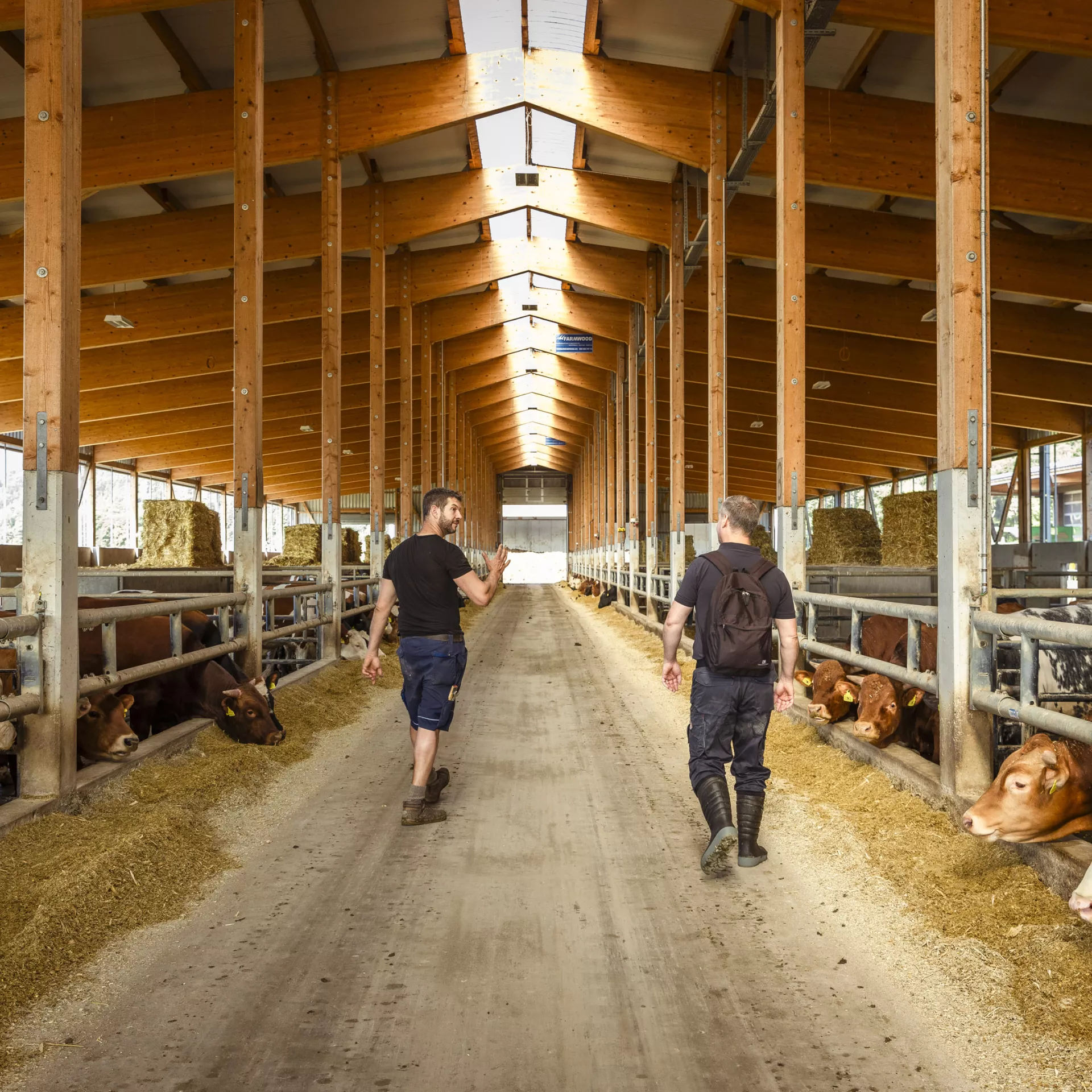 Visite d'une ferme par la service de la consommation et des affaires vétérinaire